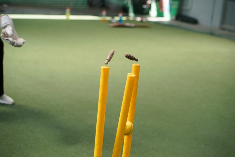 Dive into the Thrilling World of Fantasy Cricket with Elisa Runs!