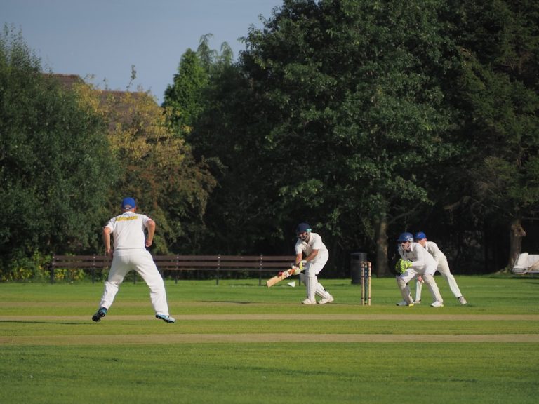 Experience the Thrill of Fantasy Cricket with Elisa Runs!